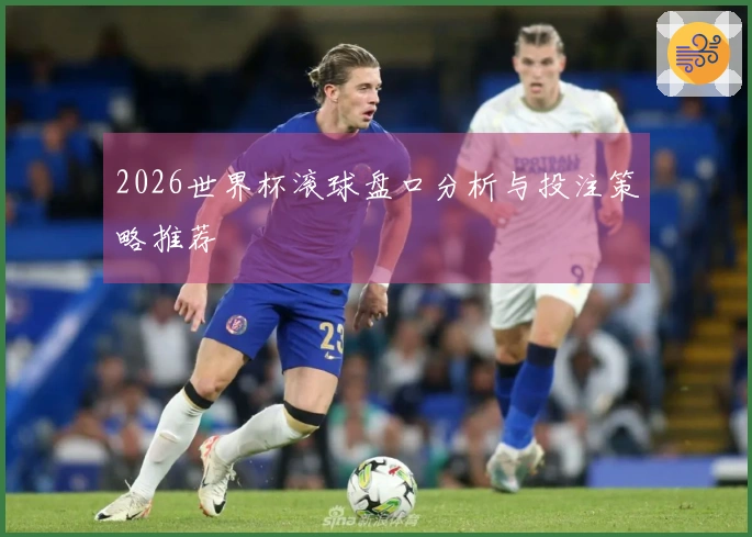2026世界杯滚球盘口分析与投注策略推荐