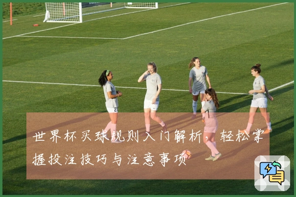 世界杯买球规则入门解析，轻松掌握投注技巧与注意事项