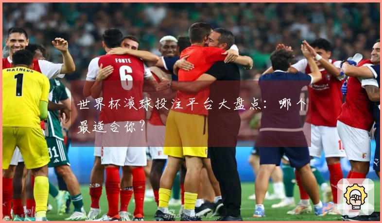 世界杯滚球投注平台大盘点：哪个最适合你？