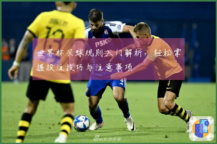世界杯买球规则入门解析，轻松掌握投注技巧与注意事项