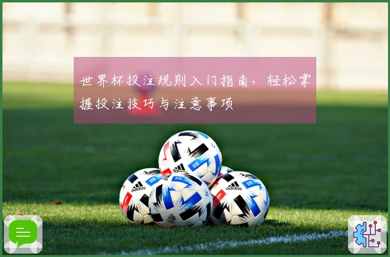 世界杯投注规则入门指南,轻松掌握投注技巧与注意事项