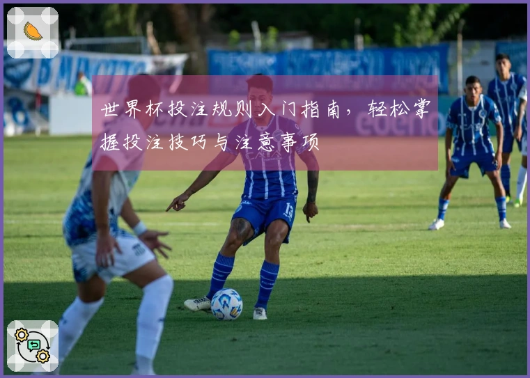 世界杯投注规则入门指南,轻松掌握投注技巧与注意事项