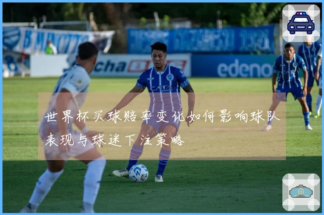 世界杯买球赔率变化如何影响球队表现与球迷下注策略
