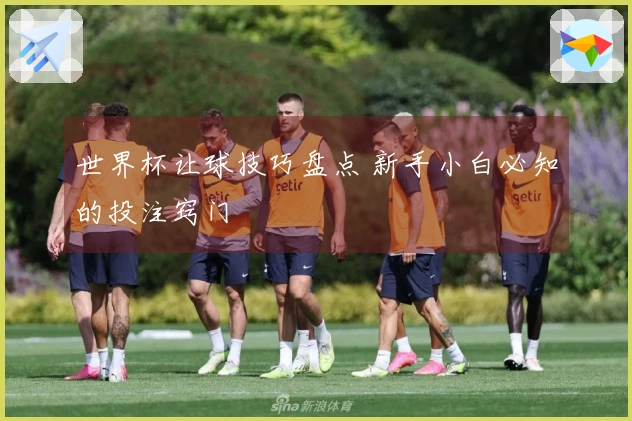 世界杯让球技巧盘点 新手小白必知的投注窍门