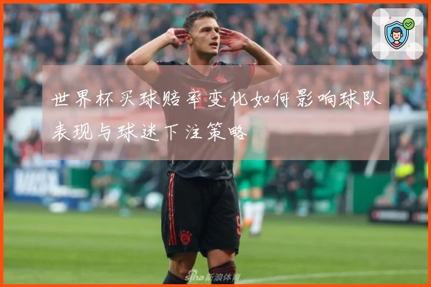 世界杯买球赔率变化如何影响球队表现与球迷下注策略